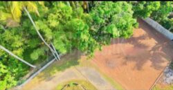 Land for Sale Walipanna