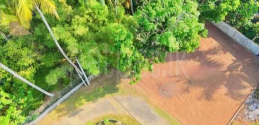 Land for Sale Walipanna