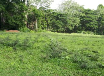 Land Sale in Matale