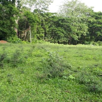 Land Sale in Matale