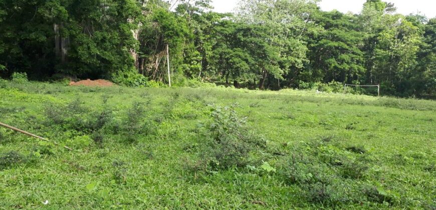 Land Sale in Matale