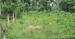 Land for Sale Mathugama