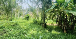 Idalgas Hinna Land for Sale