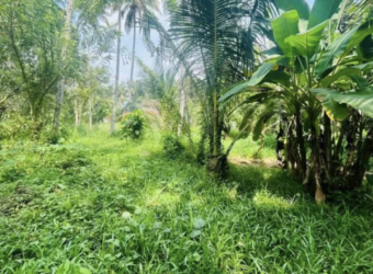 Idalgas Hinna Land for Sale