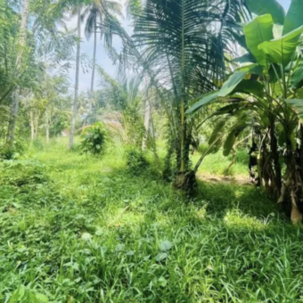 Idalgas Hinna Land for Sale