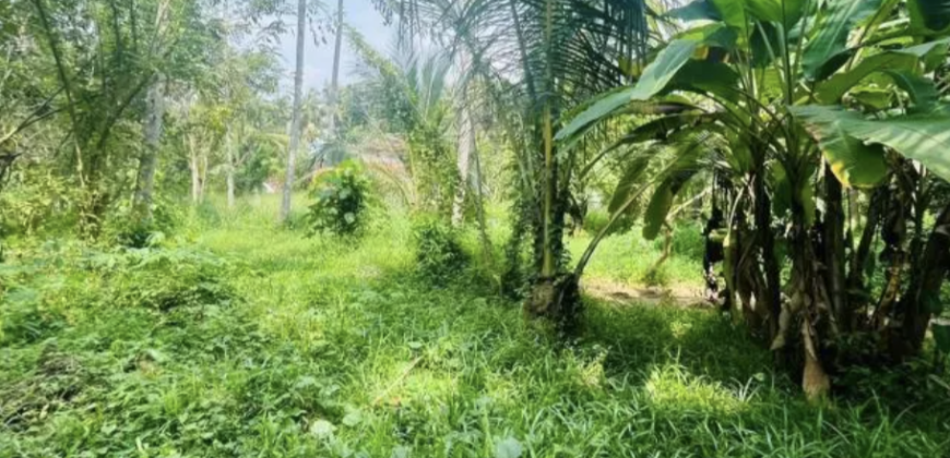 Idalgas Hinna Land for Sale
