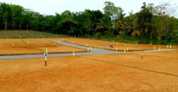 Valuable Property for Sale in Mallawagedara L08