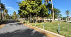 Super Commercial Land for Sale in Mellawagedara C30
