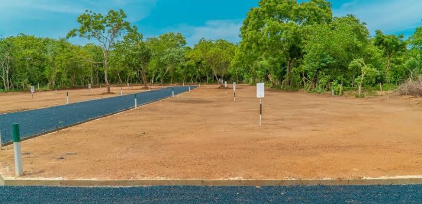 Commercial Land for rent Heart of The Nittambuwa town