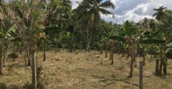 Land for Sale – Pannala