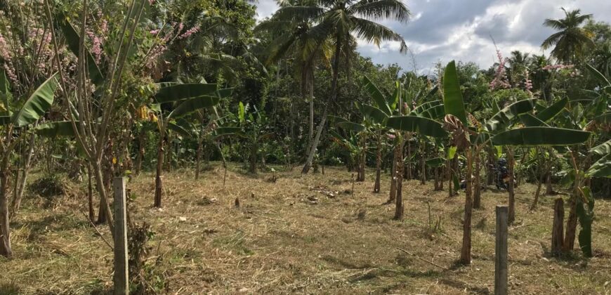 Land for Sale – Pannala