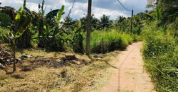 Land for Sale – Pannala