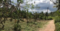 Land for Sale – Pannala