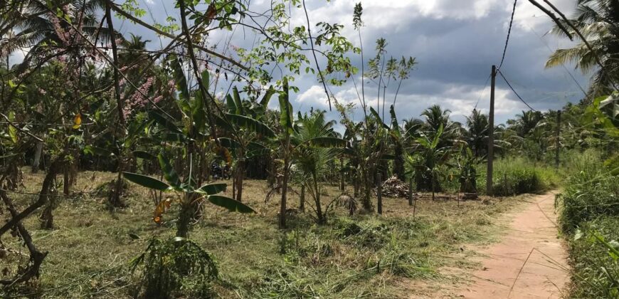 Land for Sale – Pannala