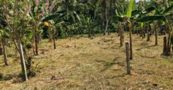 Land for Sale – Pannala