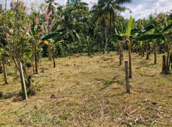 Land for Sale – Pannala