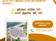 Land for Sale – Minuwangoda