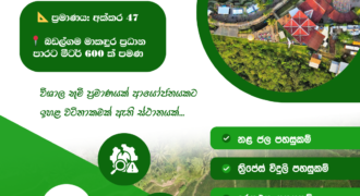 Land for Sale – Gampaha