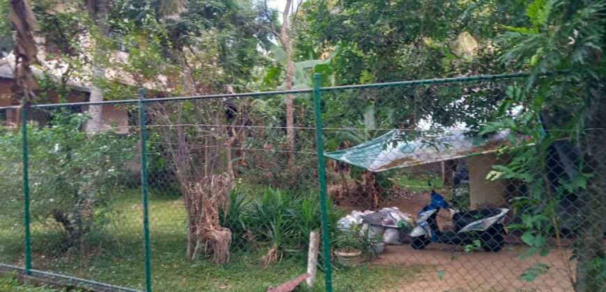 Boralasgamuwa Land For Sale