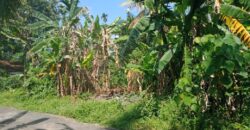 Piliyandala Land For Sale
