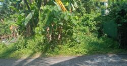 Piliyandala Land For Sale