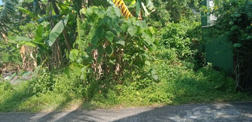 Piliyandala Land For Sale