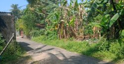 Piliyandala Land For Sale