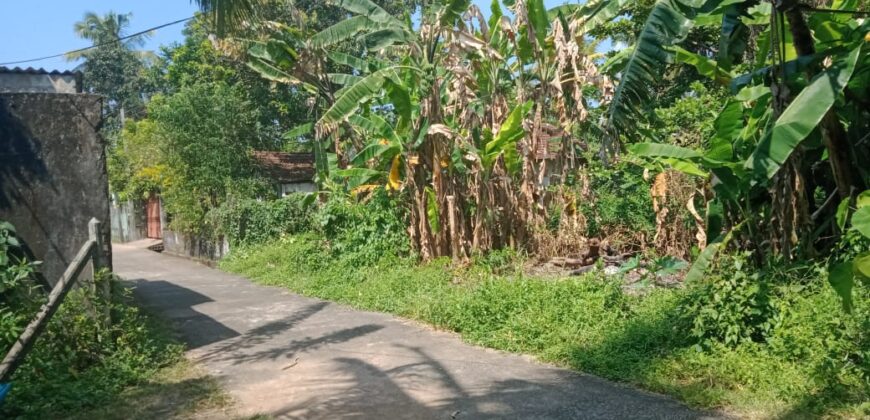 Piliyandala Land For Sale