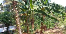 Hanwella Kahahena House