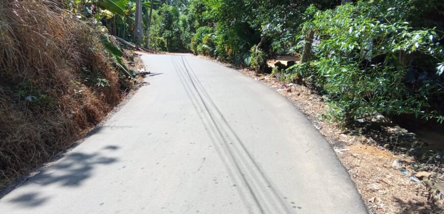 Hanwella Kahahena House