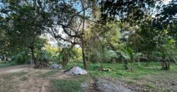 Hanwella Land for Sale