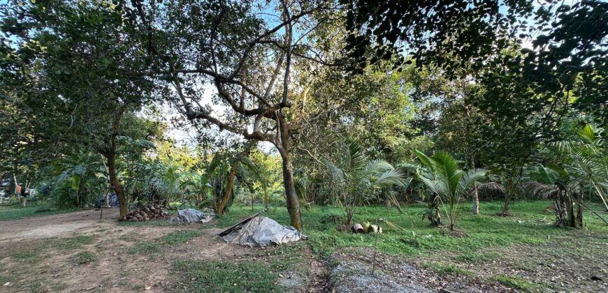 Hanwella Land for Sale