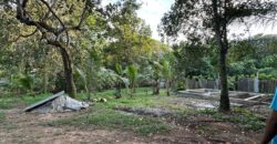 Hanwella Land for Sale