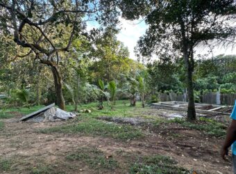 Hanwella Land for Sale