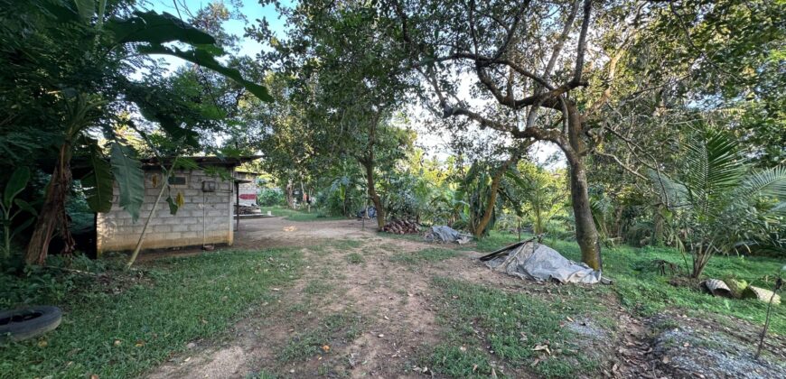 Hanwella Land for Sale