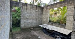 Hanwella Land for Sale