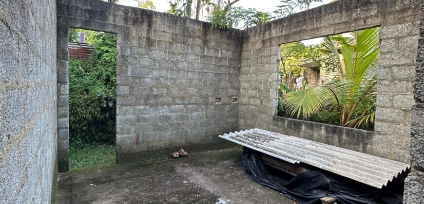 Hanwella Land for Sale