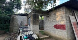 Hanwella Land for Sale