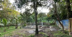 Hanwella Land for Sale