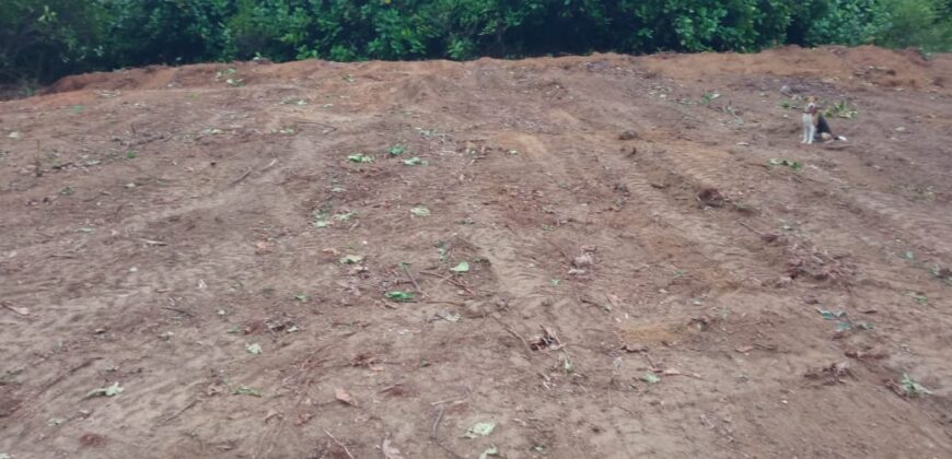 Land for Sale – Kalutara District