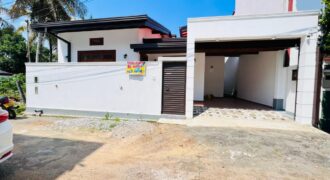 Single Storied Brand New House For Sale Galwarusawa Road