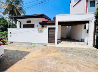 Single Storied Brand New House For Sale Galwarusawa Road