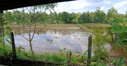 House for Sale – Piliyandala