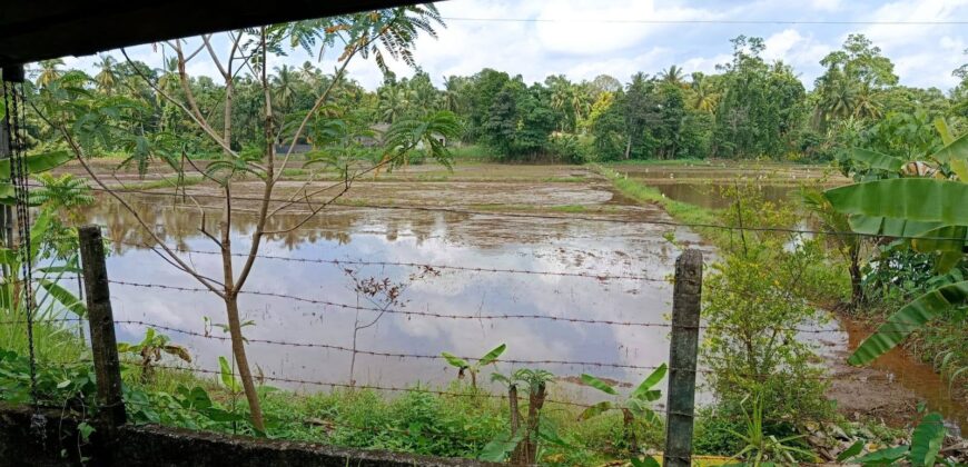 House for Sale – Piliyandala