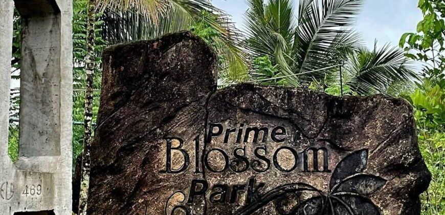 Land for Sale – Horana