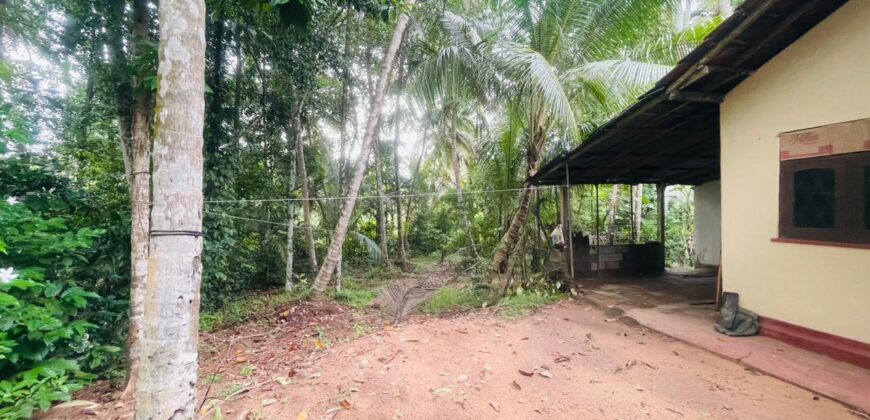 House For Sale In Negombo, Dagonna Village