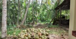 House For Sale In Negombo, Dagonna Village