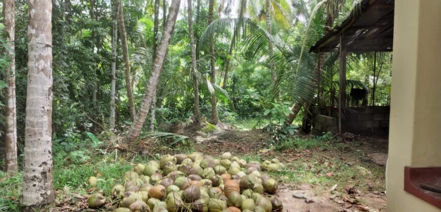 House For Sale In Negombo, Dagonna Village