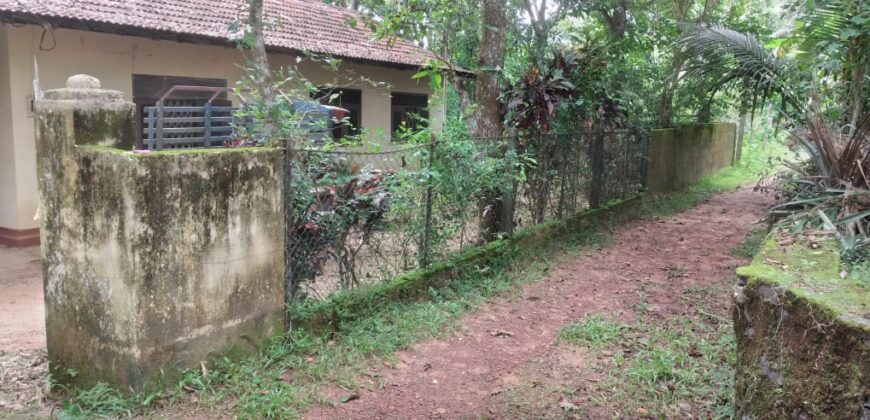 House For Sale In Negombo, Dagonna Village