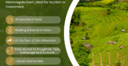 Land for Sale – Monaragala